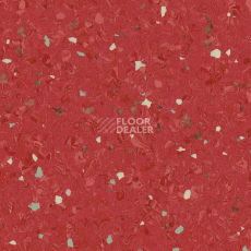 Линолеум Tarkett iq Eminent RED 0152 фото 1 | FLOORDEALER